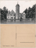 Mespelbrunn Schloß Mespelbrunn  Ansichtskarte  1920 - Altri & Non Classificati