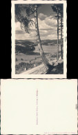 Foto Ansichtskarte Titisee Neustadt Blick Auf Den See Mit Weitblick 1930 - Titisee-Neustadt