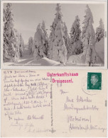  Plöckenstein Kammweg (Böhmerwald) - Winterlandschaft 1931 - Otros & Sin Clasificación