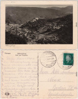 Schwarzburg Panorama-Ansichten: Blick Vom Trippstein 1930 - Sonstige & Ohne Zuordnung