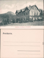 Ittenbach Königswinter Sophienhof Mit Oelberg Im Siebengebirge 1913 - Koenigswinter