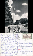 Foto Ansichtskarte Stuttgart Fernsehturm - Park Und Fahnen 1971 - Stuttgart