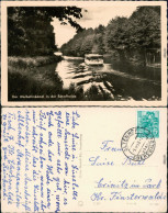 Ansichtskarte Schorfheide Werbellinkanal 1960 - Other & Unclassified