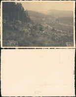 Ansichtskarte Wernigerode Panorama-Ansicht 1928 - Autres & Non Classés