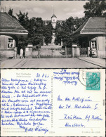 Ansichtskarte Bad Gottleuba-Berggießhübel FDGB-Sanatorium 1960 - Bad Gottleuba-Berggiesshübel