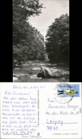 Ansichtskarte Lauenstein (Erzgebirge)-Altenberg Lungwitztal 1984 - Lauenstein