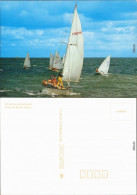Ansichtskarte  Internationale Ostseeregatten 1987 - Zeilboten