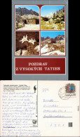 Ansichtskarte Vysoké Tatry Berg-Baude, Bergwelt, Blume 1982 - Slovaquie