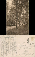 Ansichtskarte Neumünster Renkpark 1925 - Other & Unclassified