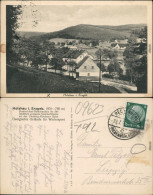 Ansichtskarte Holzhau-Rechenberg-Bienenmühle Panorama-Ansicht 1936 - Holzhau