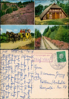 _Niedersachsen  Lüneburger Heide: Schafstall, Postkutsche Wacholder 1961 - Lüneburger Heide