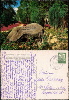 Ansichtskarte Bad Fallingbostel Lönsgrab Im Tietlinger Wacholderpark 1962 - Sonstige & Ohne Zuordnung