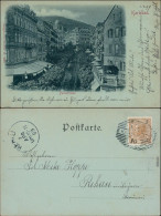 Ansichtskarte Karlsbad Karlovy Vary Partie In Der Parkstrasse 1899  - Tchéquie