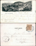 Ansichtskarte Karlsbad Karlovy Vary Blick Auf Die Stadt 1899  - Tchéquie