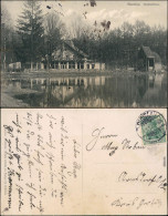 Ansichtskarte Bunzlau Bolesławiec Partie Am Waldschloß 1914  - Schlesien