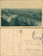 Ansichtskarte Rochlitz Blick Vom Rochlitzer Berg Auf Die Stadt 1929  - Rochlitz