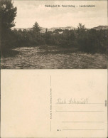 Ansichtskarte St. Peter-Ording Landschaftsbild 1920 - Andere & Zonder Classificatie