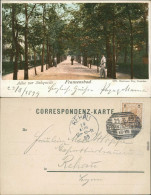 Ansichtskarte Franzensbad Františkovy Lázně Allee Zur Salzquelle Eger Cheb 1899 - Tchéquie