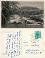 Waltersdorf-Großschönau (Sachsen) Blick Auf Den Ort Mit Lausche/Luž 1960 - Grossschönau (Sachsen)