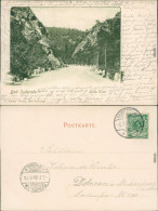 Ansichtskarte Bad Suderode Straßenpartie - Kalte Thal 1900  - Andere & Zonder Classificatie