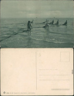 Ansichtskarte  Männer Legen Netz Ins Meer 1908 - Fishing