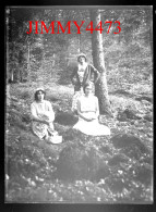 Jeunes Filles Dans Un Bois, à Identifier - Plaque De Verre En Négatif - Taille 89 X 119 Mlls - Diapositivas De Vidrio