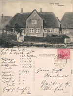 Ansichtskarte Hallig Hooge Königshaus 1919 - Andere & Zonder Classificatie