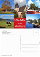 Saalburg-Ebersdorf (Saale)  Anlegestelle, Talsperre, Kühe, Personenschiff 1990 - Sonstige & Ohne Zuordnung