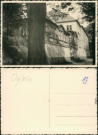 Foto Oybin Gasthof 1955 Privatfoto  - Oybin