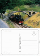 Ansichtskarte  Modelleisenbahn - Dampflokomotive 99151 1995 - Eisenbahnen