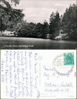 Ansichtskarte Gernrode-Quedlinburg Der Heilige Teich 1958 - Other & Unclassified