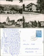 Ansichtskarte Sülzhayn-Ellrich Panorama, Haus, Kirche, Park 1960 - Other & Unclassified