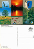 Lewitz Naturschutzgebiet - Fischadler, Schwarzspecht,  Breiter Graben 2000 - Other & Unclassified