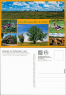 Ansichtskarte Lewitz Naturschutzgebiet 2007 - Autres & Non Classés