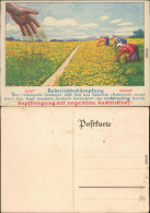 Ansichtskarte  Reklame & Werbung - Düngung - Hederichbekämpfung 1922 - Publicidad