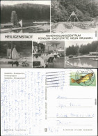 Heilbad Heiligenstadt Naherholungszentrum -  Spielplatz, Schwanenteich 1984 - Heiligenstadt