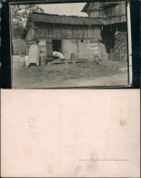 Foto Brünn Brno Schweinestall Und Scheune 1922 Privatfoto - Tchéquie