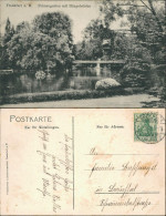 Ansichtskarte Frankfurt Am Main Palmengarten Mit Hängebrücke 1907  - Frankfurt A. Main