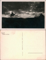 Postcard Giseh Gizeh الجيزة Kamel Sunset At Gizeh 1932  - Autres & Non Classés