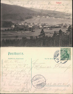 Tabarz/Thüringer Wald Panorama-Ansicht Mit Dem Ort Und Hügel 1906 - Tabarz