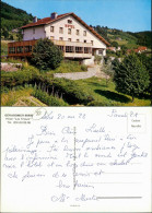 CPA Gerdsee Gérardmer Hotel Les Tilleuls 1979 - Gerardmer