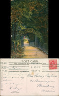 Postcard Torquay Rustic Bridge Anstey's Cove 1910 - Other & Unclassified