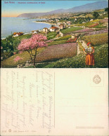 Cartoline San Remo Sanremo Blick Auf Den Ort 1916 - Autres & Non Classés