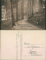 Ansichtskarte Timmendorfer Strand Aufstieg Zur Kammer 1919  - Andere & Zonder Classificatie