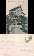 Ansichtskarte Ilsenburg (Harz) Straßenpartie - Hotel Zum Blauen Stein 1909  - Autres & Non Classés