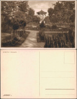 Postcard Komotau Chomutov Partie Im Rosenpark 1928  - Tchéquie