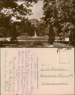 Ansichtskarte Freiberg (Sachsen) Haus Im Albertpark 1928  - Freiberg (Sachsen)