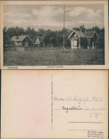 Ansichtskarte Thale (Harz) Partie An Der Försterei Totenrode 1924  - Sonstige & Ohne Zuordnung