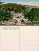 Schmiedeberg (Erzgebirge)-Dippoldiswalde Buschmühle - Holzstapel 1908 - Schmiedeberg (Erzgeb.)