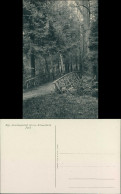 Großschweidnitz (OL) Swóńca Kgl. Landesanstalt - Park 1915  - Grossschweidnitz